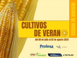 Cultivos de verano: reserva de maíces 2024-2025