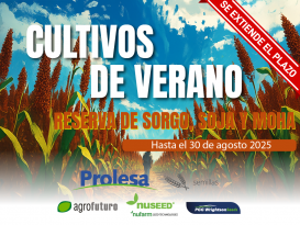 Extensión Cultivos de verano: reserva de sorgo, soja y moha 2025-26