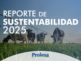 Reporte de Sustentabilidad 2025
