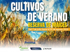 Cultivos de verano: reserva de maíces 2025-26