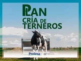 Plan Cría de Terneros 2026