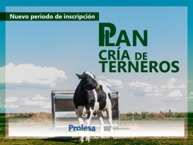 Plan Cría de Terneros - Octubre 2026