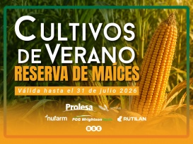 Cultivos de verano: reserva de maíces 2026/27