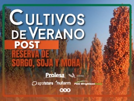 Post Reserva de sorgos, soja y moha 2026